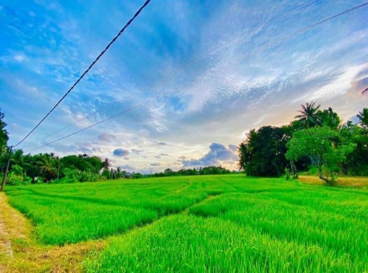 Arani Homestay Polonnaruwa Exteriér fotografie