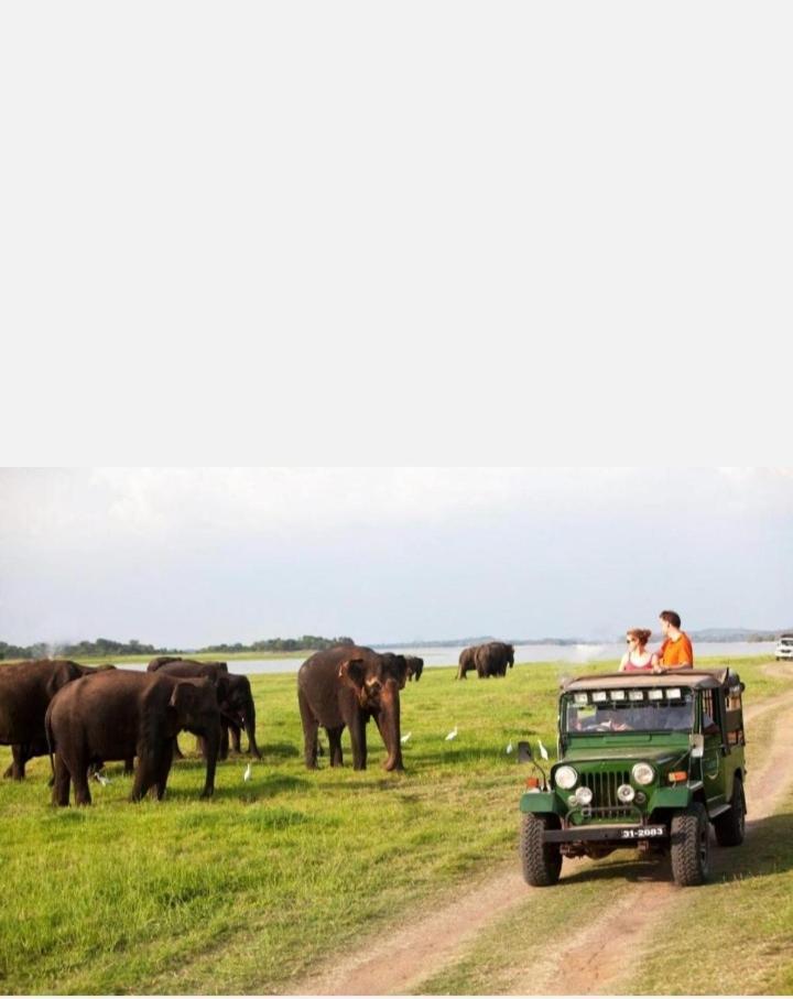 Arani Homestay Polonnaruwa Exteriér fotografie